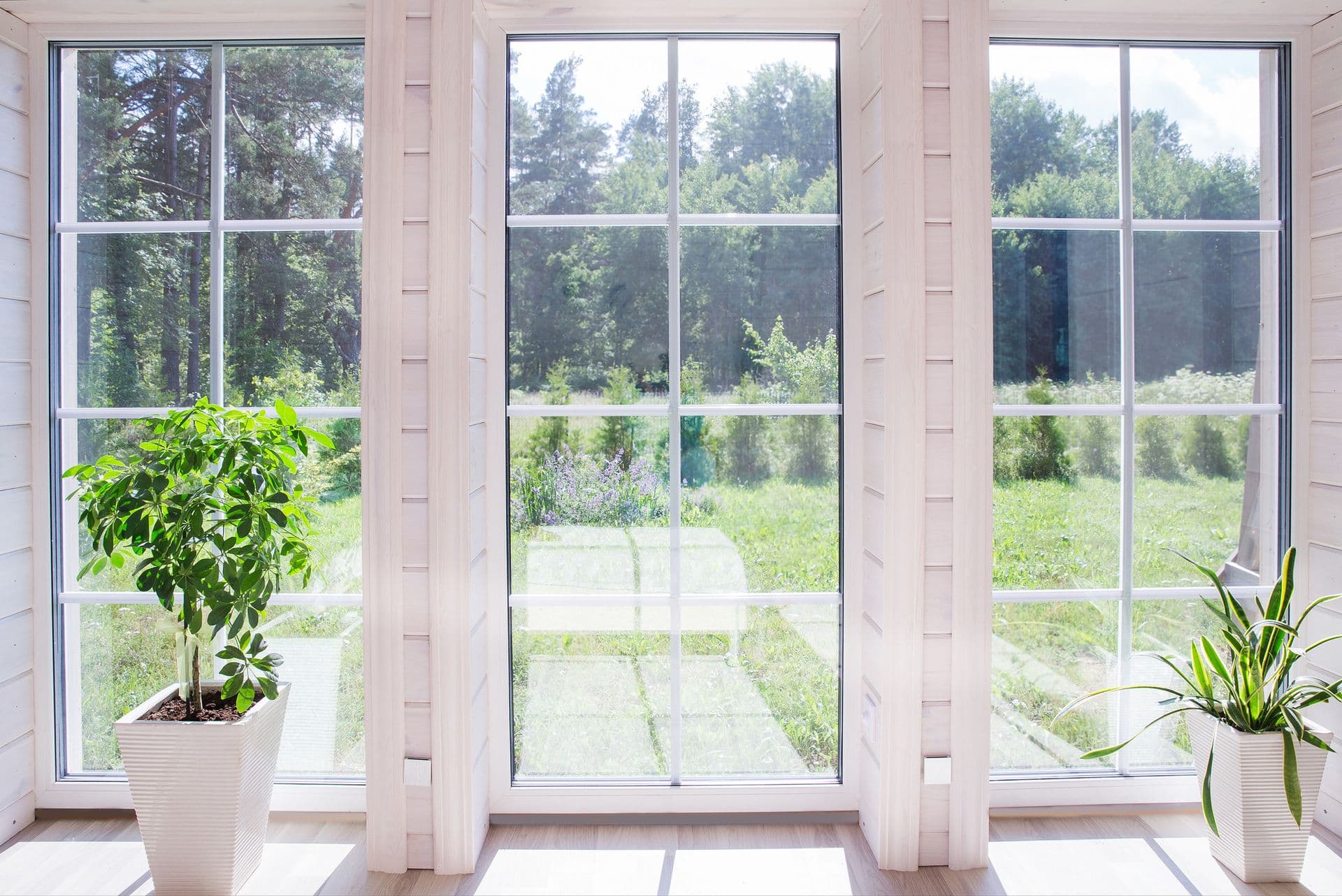Window