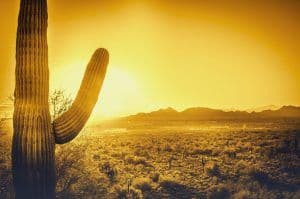 Energy Audit Sun City West AZ