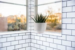 Replacement Windows Phoenix AZ